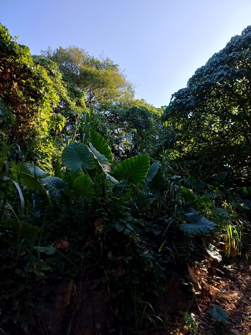 tn_20231210_091023
