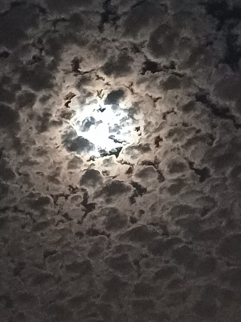 tn_20231226_185908